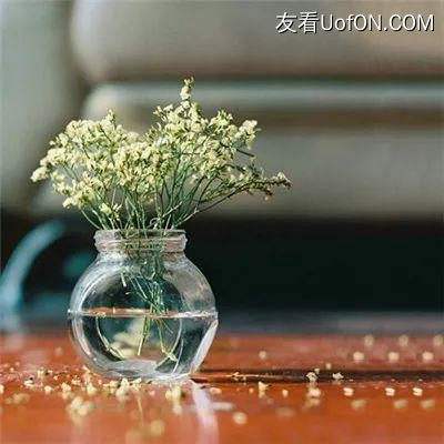 赛博终结者手机版下载