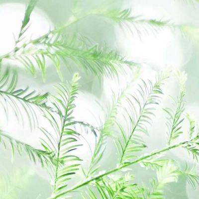 新仙剑奇侠传变态公益服下载